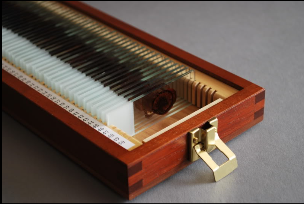 Handcrafted Trophy Case & 46 Blood Slides