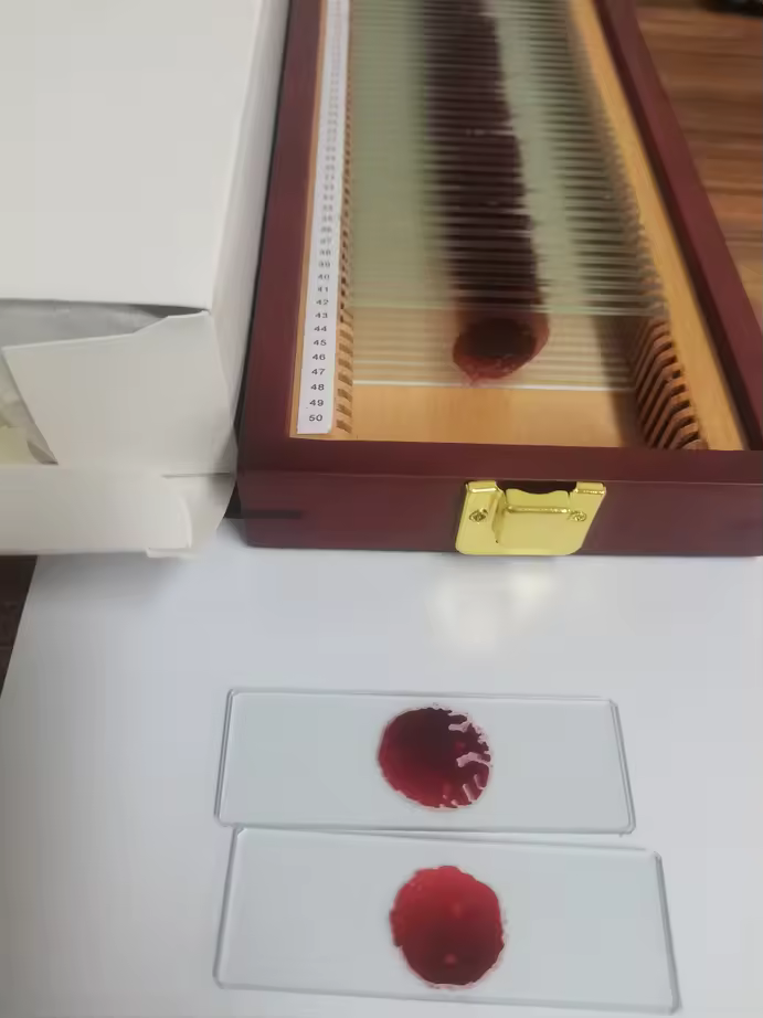 Handcrafted Trophy Case & 46 Blood Slides