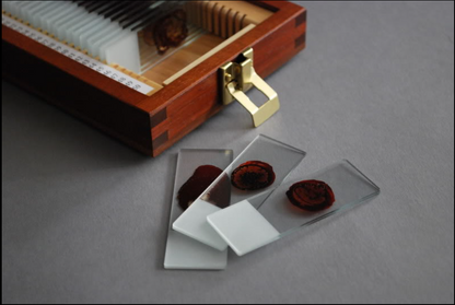 Handcrafted Trophy Case & 46 Blood Slides