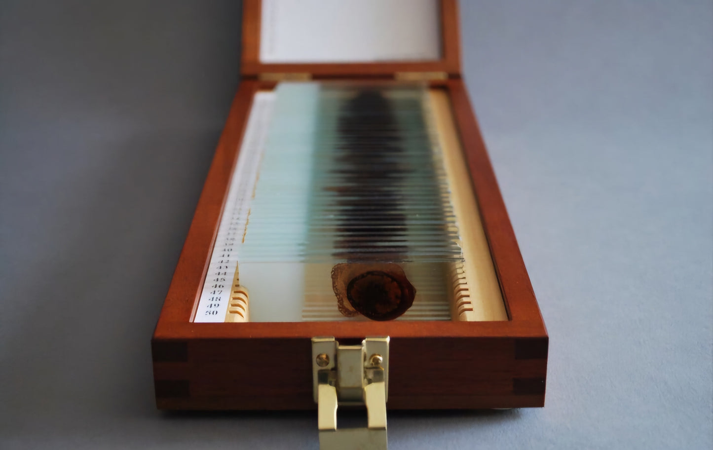 Handcrafted Trophy Case & 46 Blood Slides