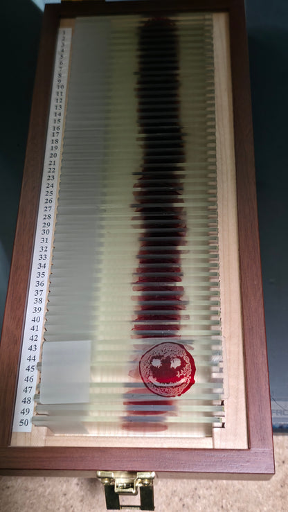 Handcrafted Trophy Case & 46 Blood Stained Slides